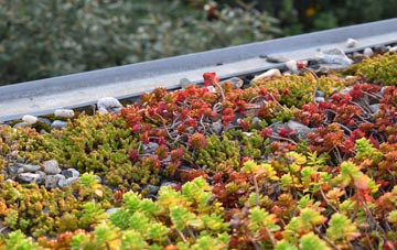 the cost of Cowdenbeath green roof installation