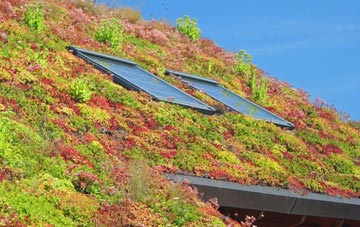 Cowdenbeath living roof systems