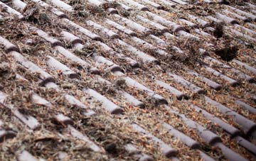 Cowdenbeath roof cleaning companies