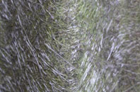 Cowdenbeath fibreglass roof work